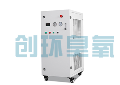 香河石斑鱼养殖水质调控完整指南:臭氧发生器配置与操作步骤