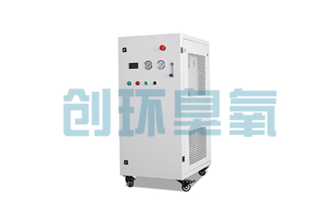 香河比传统换水更高效?臭氧发生器在石斑鱼养殖中的水质净化原理解析
